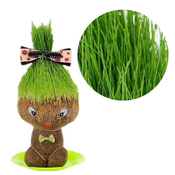 Gresshode Dukke Gro Bag Potter Mini Bonsai Hode Gress Dukke Kontor Hage Dekorasjon Rekvisita
