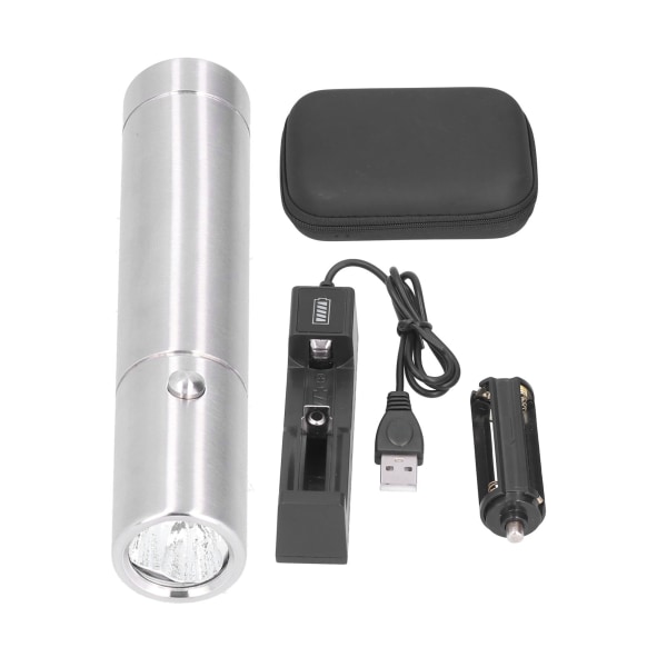 LED Fysioterapi Lampe Bærbar Rød Lys Terapi Lommelykt wit