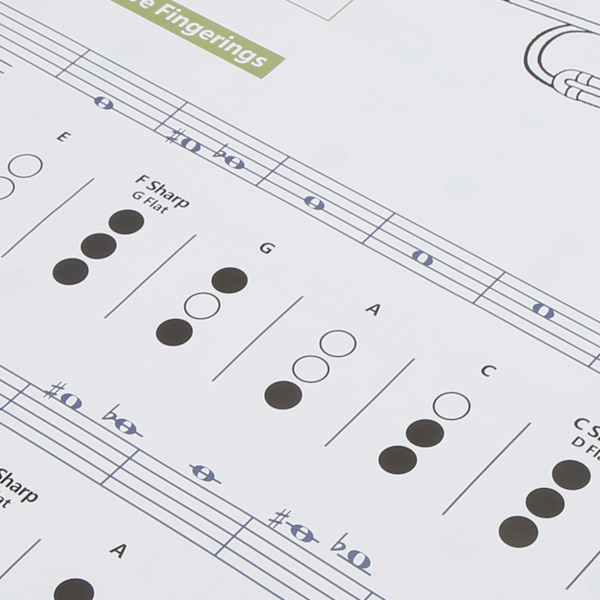 Trompet-akkorddiagram Fingering Note Music Instrument Reference Guide til hjemmeklasseStor