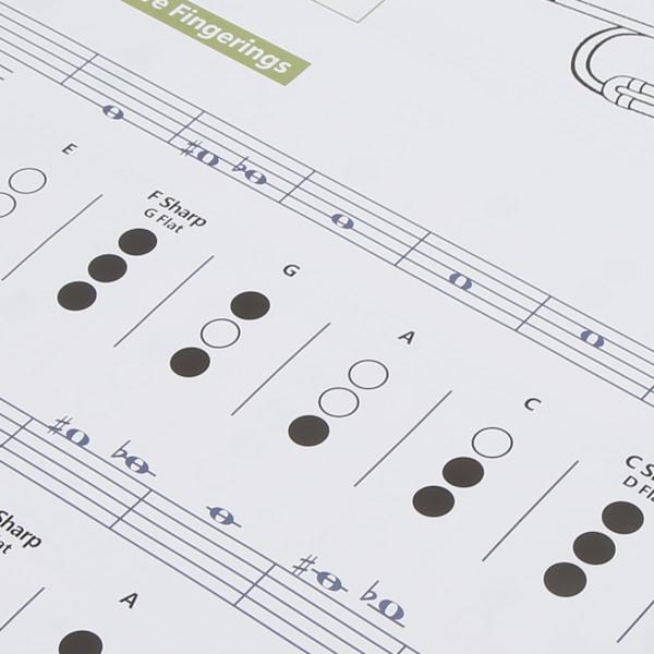 Trumpet Chord Chart Fingering Note Music Instrument Reference Guide för Hem KlassLarge