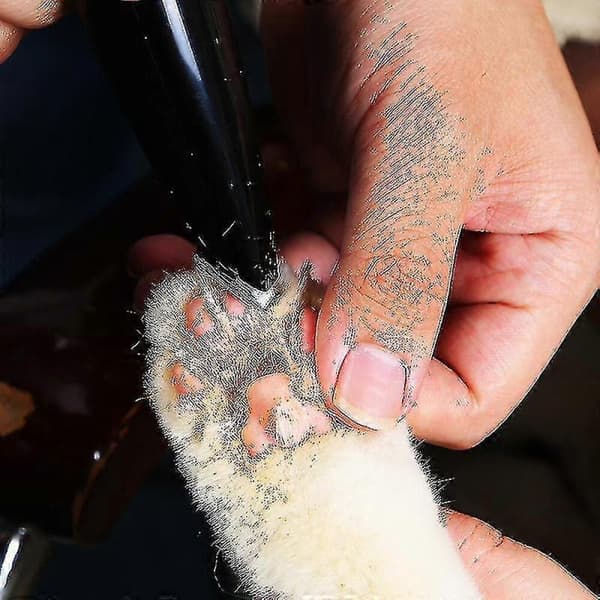 Elektrisk kæledyrsfodhårstrimmer Hundepleje Pedicureklipper