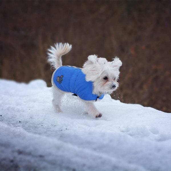 Reversibel vinterfleece-hundevest for kaldt vær