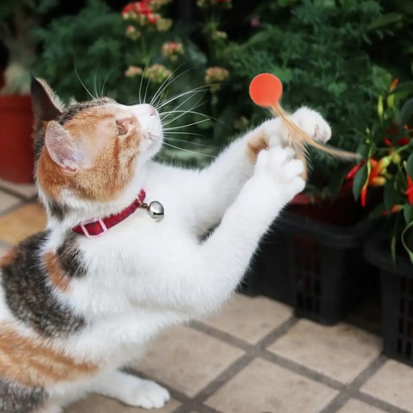 3 st katt studsboll interaktiv mjuk flexibel kattbollar med fjädrar för katter kattunge