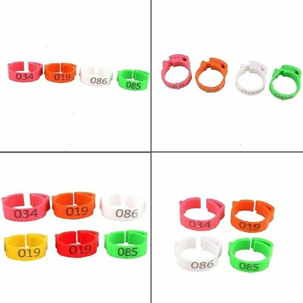 Hönfotsringar för vuxen fjäderfä, Clip-on typ ring som säkerställer enkel identifiering med numrerade plastfågelbensband för kycklingar, ankor och höns