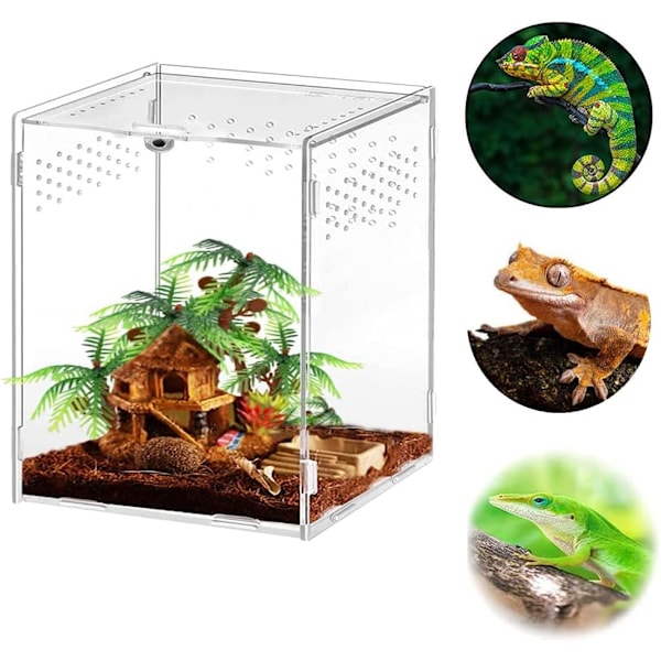 Terrarium för Tarantula Larver, Mikrohabitat med Magnetspänne, Akrylterrarium för Leddjur, Spindlar och Insekter