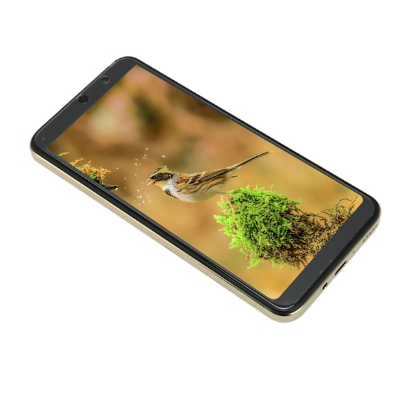 6,1 tommer mobiltelefon til Android 11 MT6889 ti-core 7000mah 1440x3040 8MP front 16MP bagkamera 4GB RAM 64GB ROM100‑240V gylden