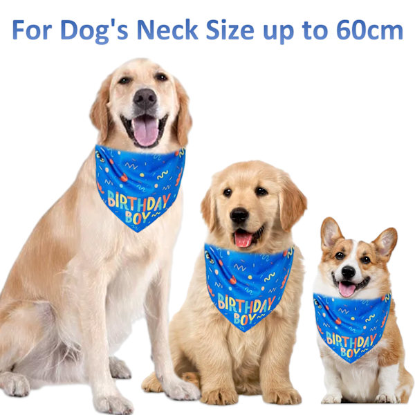 Födelsedagspresent till hund, födelsedagsset för hund inklusive födelsedagshatt & bedårande födelsedagsbandana för hund, perfekt för hundkalas