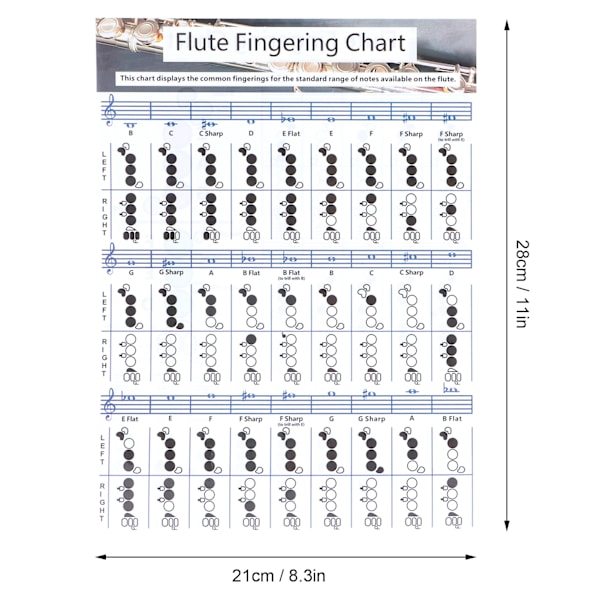 Fløyte Fingerings Akkord Tabell Nybegynner Student Øvelse Undervisningshjelpemidler Instrument TilbehørS(28x21cm)