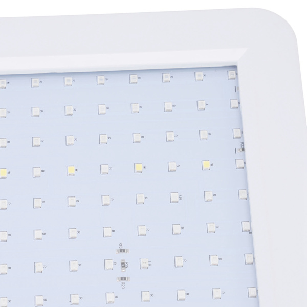 2000W Full Spectrum LED Grow Light Dobbelt Afbryder Plante Grow Ligh