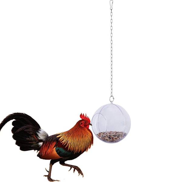 DIY Hantverksdekorationer, Nytt Djurfoder För Olika Fåglar Med Säkert Material Och Öppning För Födosök, 20 cm i Diameter