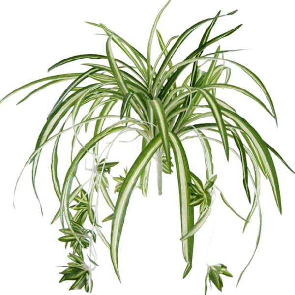 FlexibleDecoration, Konstgjord Ampellilja, 60 cm Stor Simulation Chlorophytum Comosum, Hållbar Grön Väggdekoration, Falsk Växt av Plast för