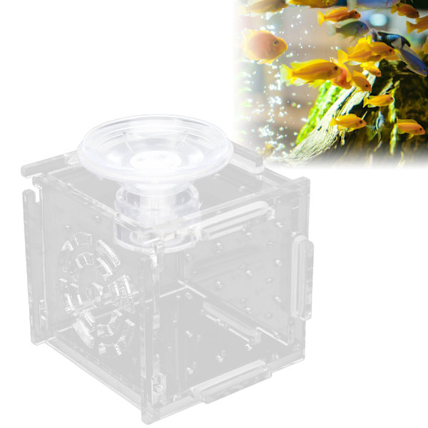 Fisk Isolationsboks Akryl Fiskeopdrætsboks Akvarium Rugeri til Babyfisk RejerEnkelt Mini Boks 6x6x6