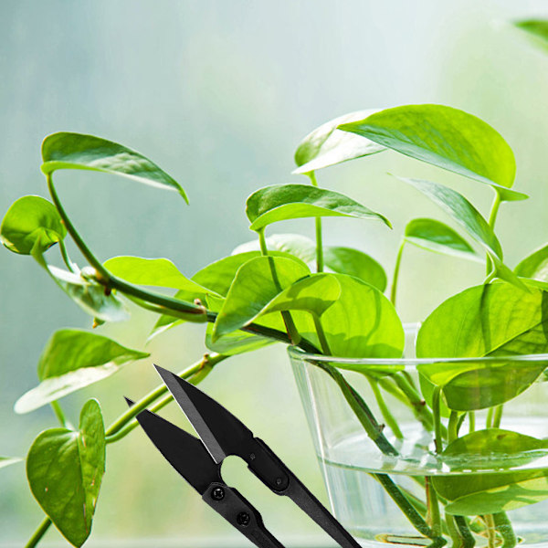 Bonsai-beskärningssax, miniträdgårdssax, små trädgårdssaxar för knoppar och blad