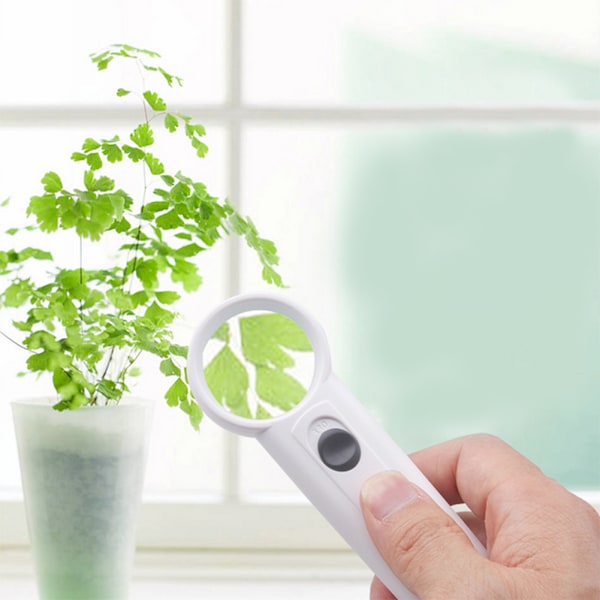 10X Mini bærbar håndholdt forstørrelsesglas med LED-lys