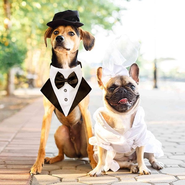 Formell Hundbröllopsbandana för Elegant Husdjursbröllop, Återanvändbar Hundbandana med Användbarhet Under Alla Årstider