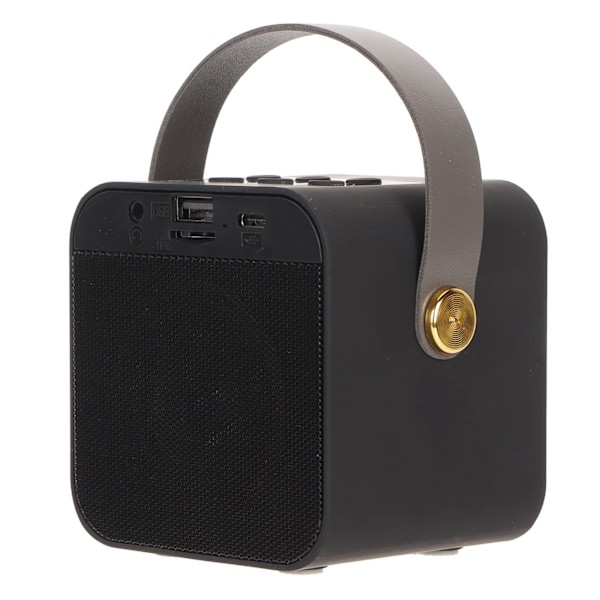 Lasten minikaraoke BT 5.3 LED-valaistustehosteilla Langaton Bluetooth-kaiutin 2 mikrofonilla juhliin