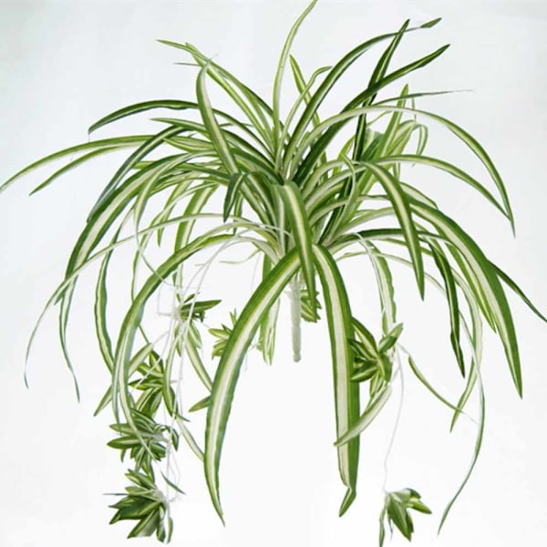 FlexibleDecoration, Konstgjord Ampellilja, 60 cm Stor Simulation Chlorophytum Comosum, Hållbar Grön Väggdekoration, Falsk Växt av Plast för