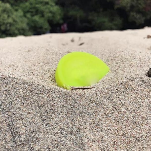 Frisbee Leksak i Gummi, Slitstarkt Lättviktsmaterial För Utomhusleksaker Till Hundar Och Atletisk Träning, Mjuka Och Flexibla Material, Multisportanvändning