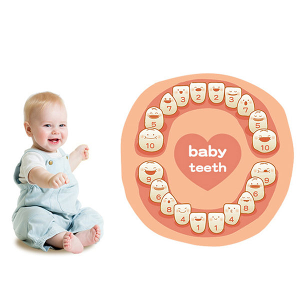 Baby Minnesförvaring, Tandask i Trä med Separata Hål för Varje Tand, Första Tand Organizer Enkel Förvaring för Pojkar och Flickor