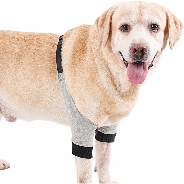 Knäskydd för Hund, Andningsbart Tyg med Stabil Passform och Justerbart Spänne för Komfort, Mjukt Vadderat Armbågsskydd Högkvalitativt Material (1