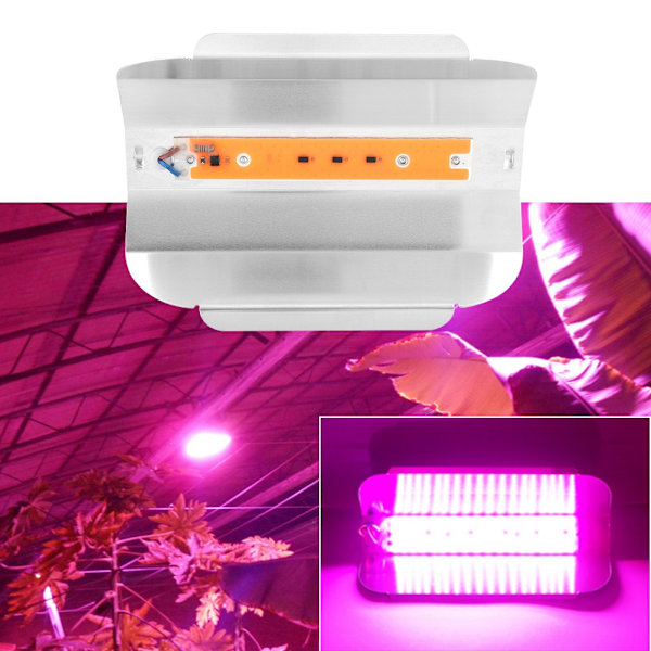 220V 30W COB LED-växtlampa för inomhusbruk med fullt spektrum