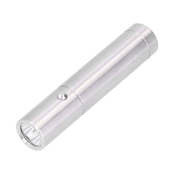 LED Fysioterapi Lampe Bærbar Rød Lys Terapi Lommelykt wit
