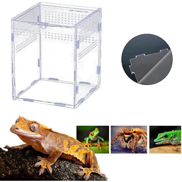 Terrarium för Tarantula Larver, Mikrohabitat med Magnetspänne, Akrylterrarium för Leddjur, Spindlar och Insekter