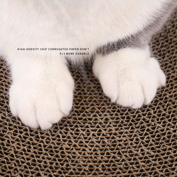 Cozy Claws Medium Grön Lättviktsdesign, Klovårdande Konkav Form För Din Katts Ultima Avkoppling