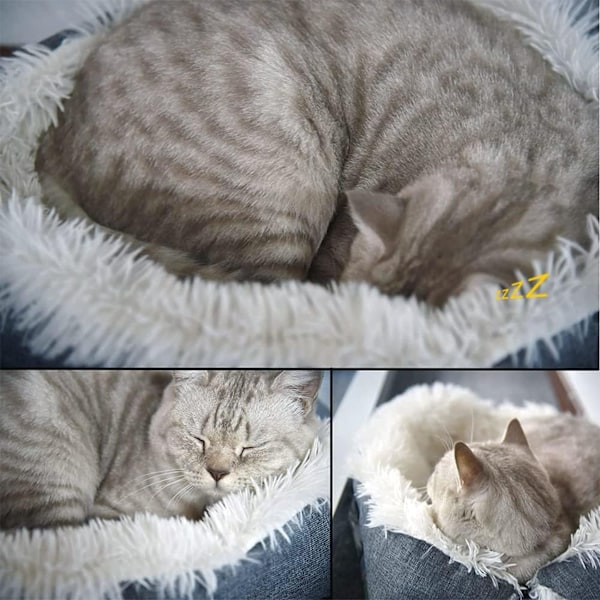 Pet Comfort Oasis, Mjuk Plysch, Självvärmande Kattsäng, Halkfri Botten, Regnbågsfärgad Bäddstil, Hållbar Hög Kvalitet, Konvertibel 2-I-1 Design för