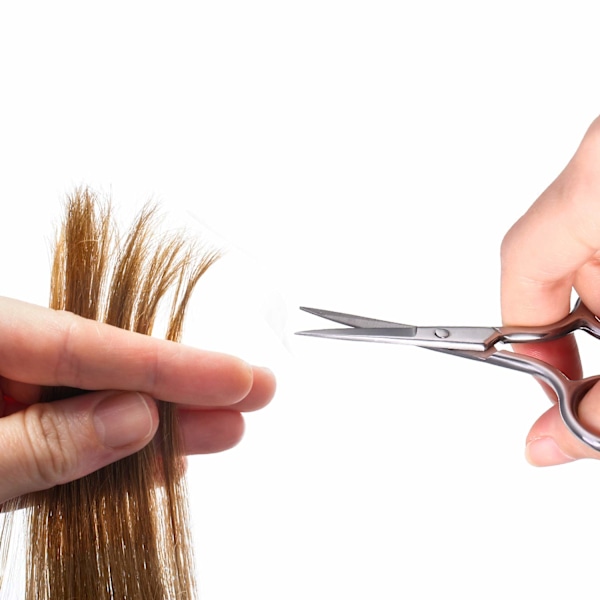 Rundade Saxar För Näsa, Ögonbryn Och Ansiktshår, Rostfritt Stål Groomingverktyg, Flerfärgad Display, 9,3 cm Professionell Hår