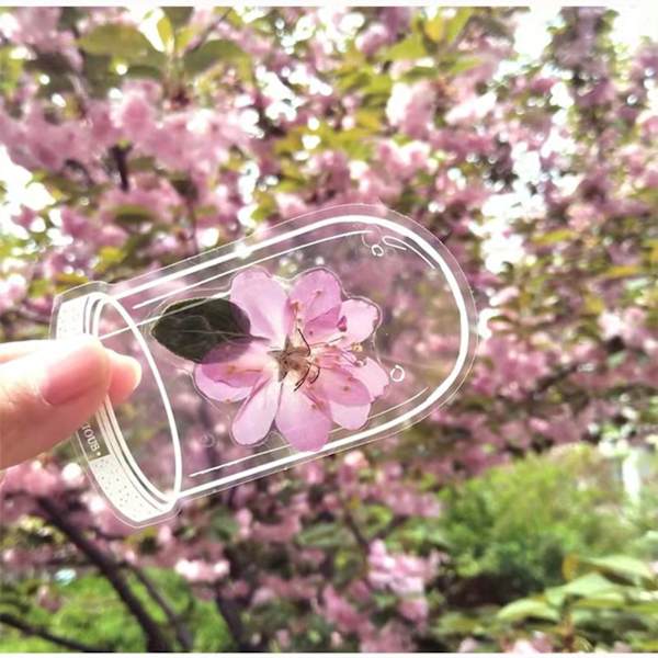 DIY Håndlavede Hjemmelavede Ins Bogmærke Transparente Tørrede Blomster Bogmærker