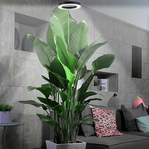 Växtlampa LED Fullspektrum för Inomhusväxter, Justerbar Växtbelysning med 72 LEDs, Dimbar Ljusstyrka, Timer 3/9/12 Timmar för Inomhusväxter black