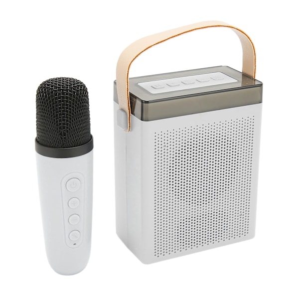 Karaoke-maskin Multifunksjon RGB-belysning Bærbar Bluetooth-høyttaler med 2 trådløse mikrofoner for voksne og barn