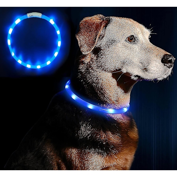 LED Hundhalsband för Nattsäkerhet, Robust & Uppladdningsbart, Passar Alla Raser