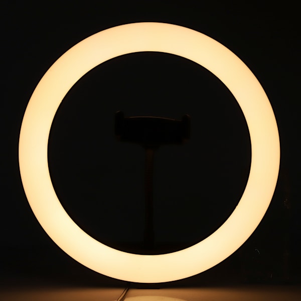 LED Ring Light Fyllnadsljus Lampa Fotografisk Utrustning för Telefon Live-sändning Selfie 26cm26cm fyllnadsljus + slang telefonklämma
