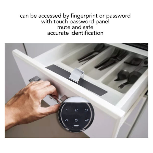 Smart Biometrisk Skap Låsepassord Nøkkelfri Fingeravtrykk Skufflås Sikkerhet for Hjemmekontor