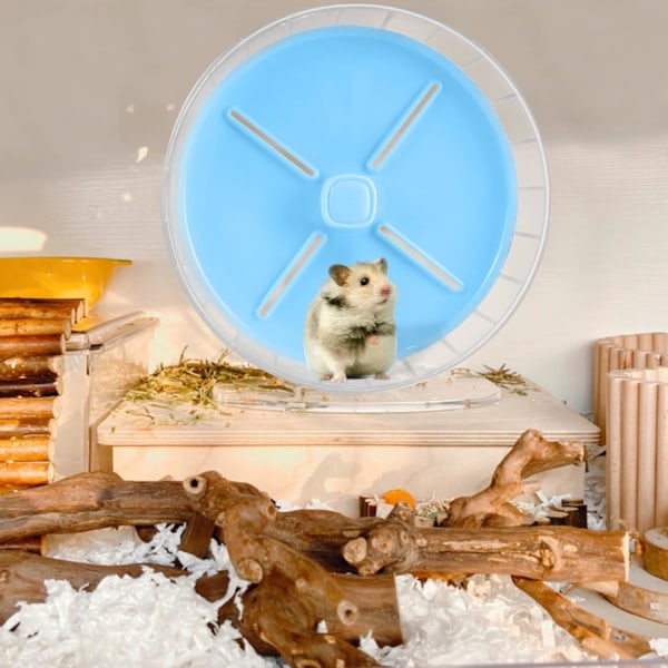 Exercise Paradise For Pets, Transparent Plast Hjul, Dubbla Metallager Hamster Löpleksak, Ultratyst Drift Främjar Korrekt Hållning,