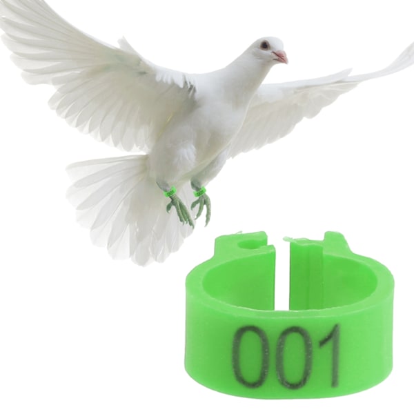 100 st/påse 8MM 001-100 Numrerade plastbrevduva fågelbenband ringar (grön)