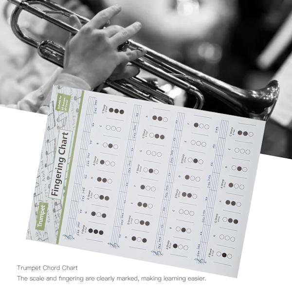 Trompet-akkorddiagram Fingering Note Music Instrument Reference Guide til hjemmeklasseStor