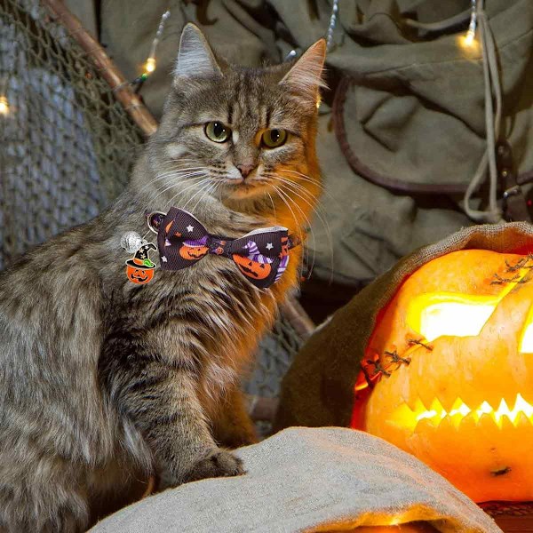 Katthalsband för Halloween, Bekvämt och Slitstarkt Katthalsband med Säkerhetsspänne, Unik Design för Pojkar Flickor Katter, Valp, Kanindräkt Kostym (4ST/Set)