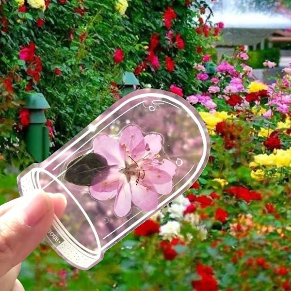 DIY Handgjorda Hemmagjorda Ins Bokmärke Transparenta Torkade Blomster Bokmärken