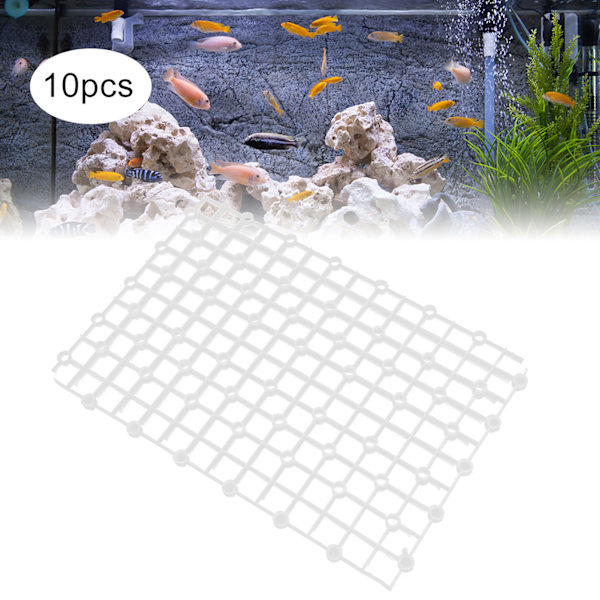 Akvariepartition för blandad avel, ny justerbar design högkvalitativa material akvariefilterbotten, justerbar akvarieavdelare för fisk