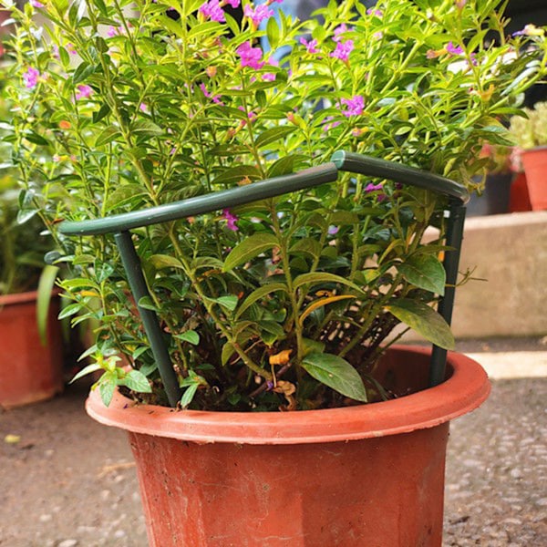 Trädgårdsstöd Pinnar för Växter, Blomstertorn för Klätterväxter, DIY Trädgårdsstöd för Upprätt Tillväxt, Högkvalitativa Växtstöd i Plast för