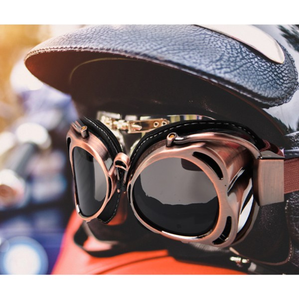 Motorcykelkörning Skyddsglasögon Dammsäkra Vindtäta ArC-formade Glasögon (Bronsgrå)