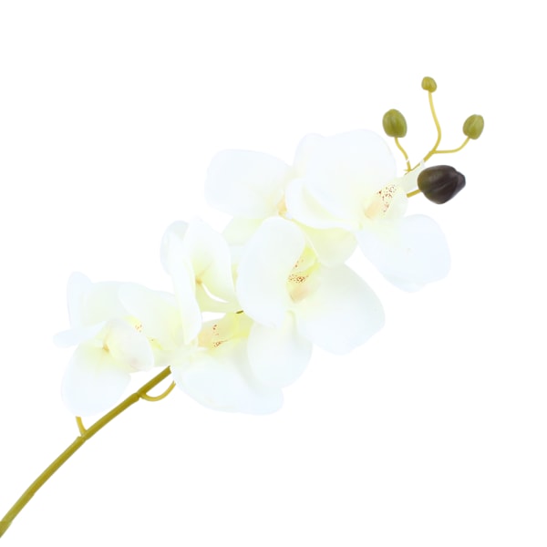 Kunstig Blomst Sommerfugl Orkide Blomst Hjem Bryllup Fest Dekorativ Phalaenopsis