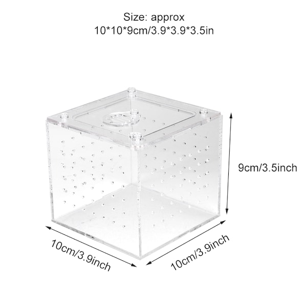 1 st Reptil Terrarium Matare Orm Spindel Ödla Avel Akryl Box Fodral Insekter Hus