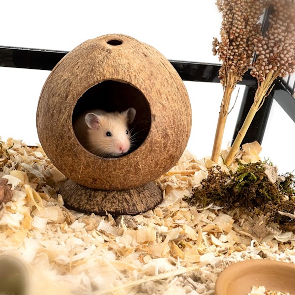 Varmt vinternäste för fåglar av kokosnötsskal, terrariumhabitatdekor för leopardgecko, kokoshus, reptilgömställe med naturligt utseende (förbättrar estetiken &