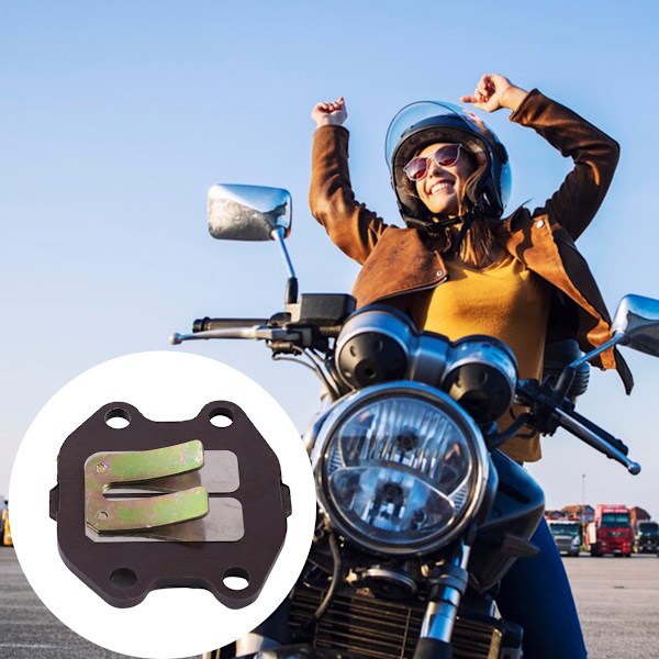 Reed Block Ventilenhet Tillbehör Passar Yamaha PW50 PW 50 1981‑2010