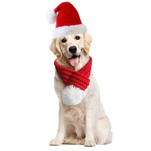 Pet Santa hat, scarf and suit Christmas cat and dog clothes