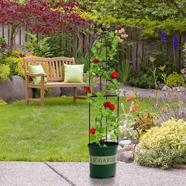 Havearbejde Klatreplante Plante Klatreplante Trellis til Klatreplanter